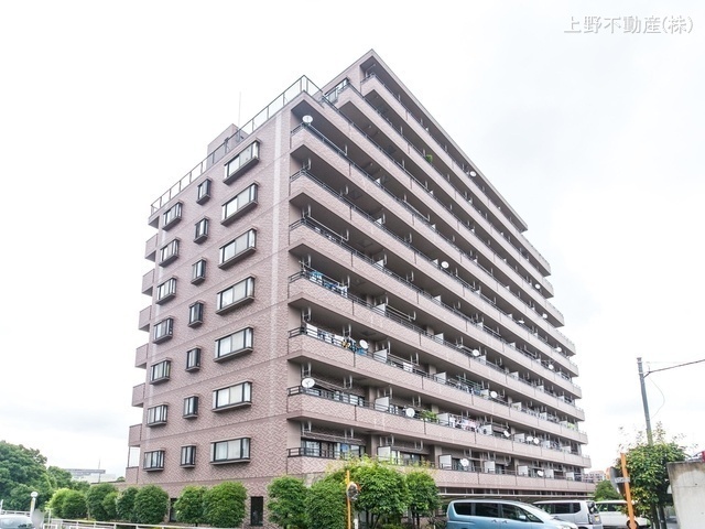 外観: