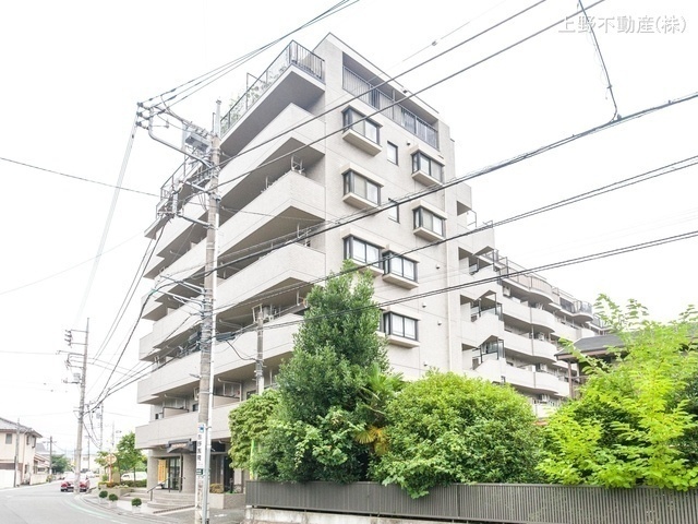 外観: