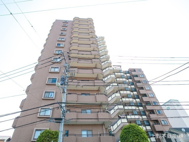 外観: